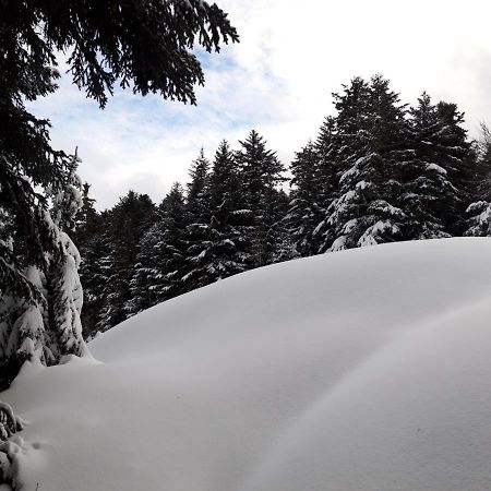 Appartamento Pyrénées - Le Nid d'Ax Ax-les-Thermes Esterno foto