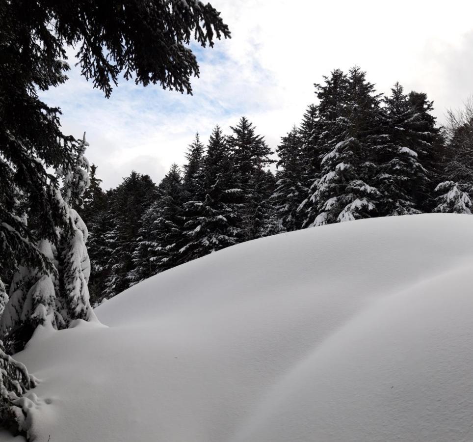 Appartamento Pyrénées - Le Nid d'Ax Ax-les-Thermes Esterno foto